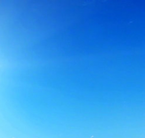 粉象生活哪里看分销商品