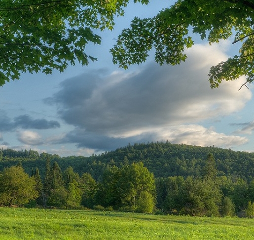 粉象生活的验证码有什么用
