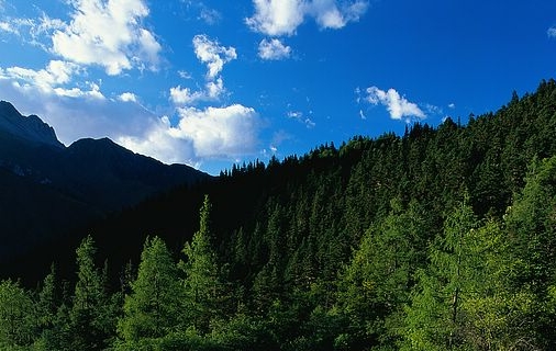 如何使用粉象生活