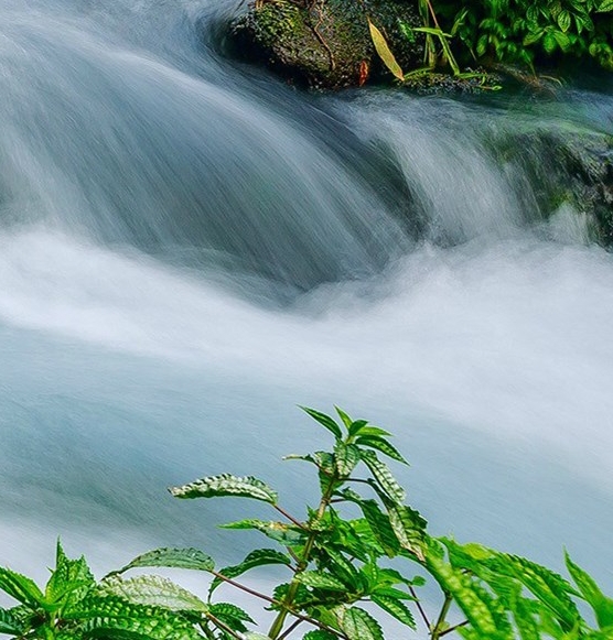 粉象生活升级vip有什么好处