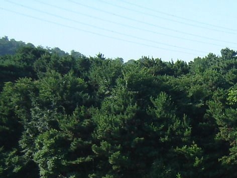 粉象生活升级VIP必须交钱