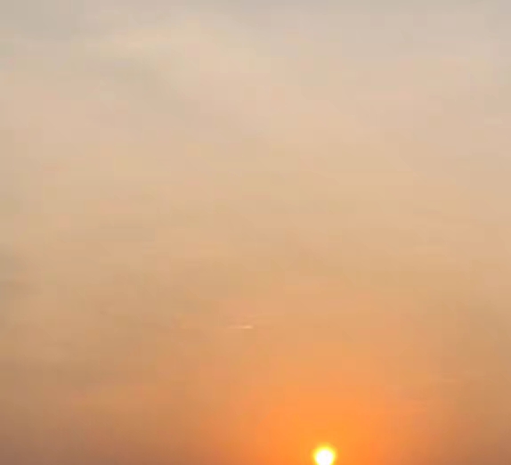 怎么找到粉象生活的券