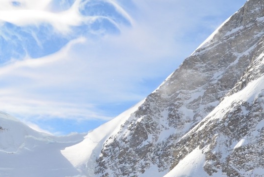 粉象生活购物截图