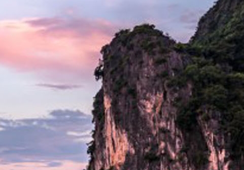 粉象生活怎么买优惠券