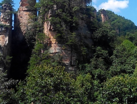 粉象邀请ID码怎么更改