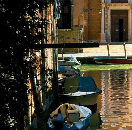 粉象生活招商中心