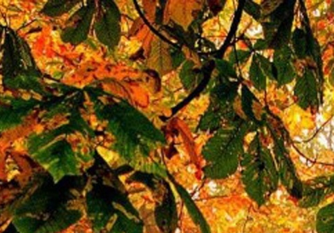 粉象生活技巧大全