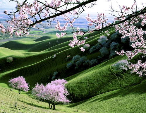 粉象生活可以赚钱吗