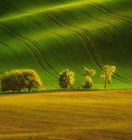 粉象生活如何收获水果