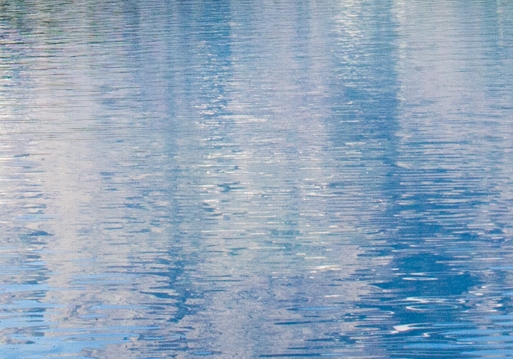 粉象生活如何申请收益