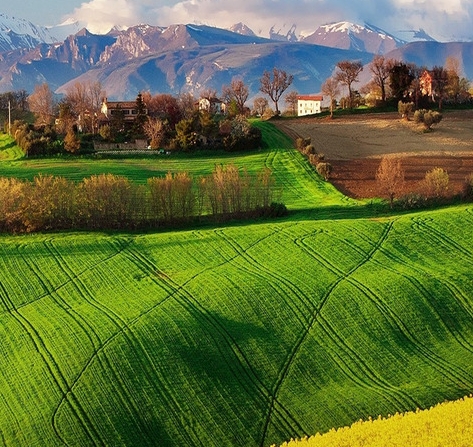 粉象生活赚钱教程