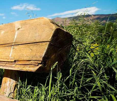 粉象生活没有券
