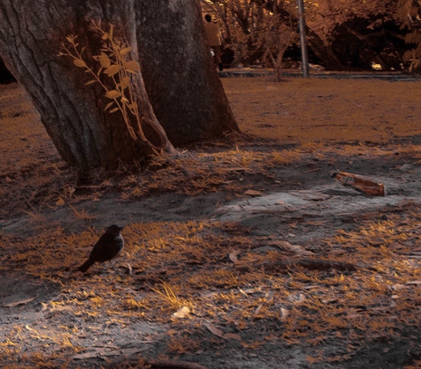 湖南开放大学网站