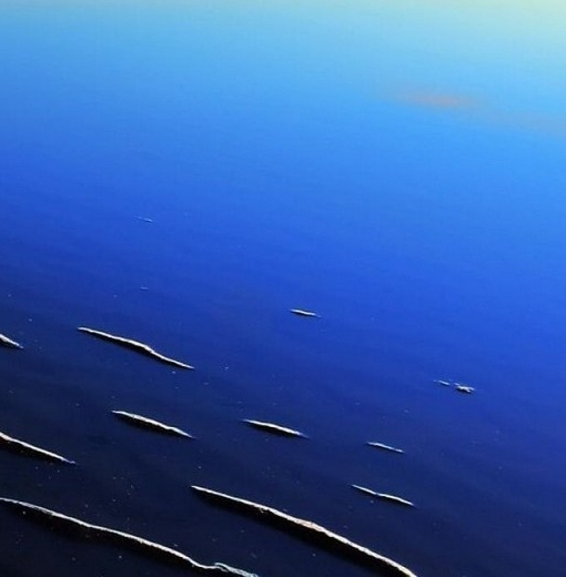 山东正规粉象生活是什么