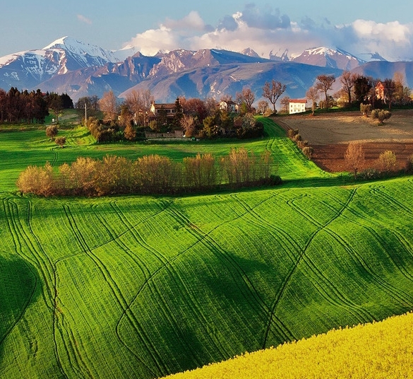 粉象生活收入多高