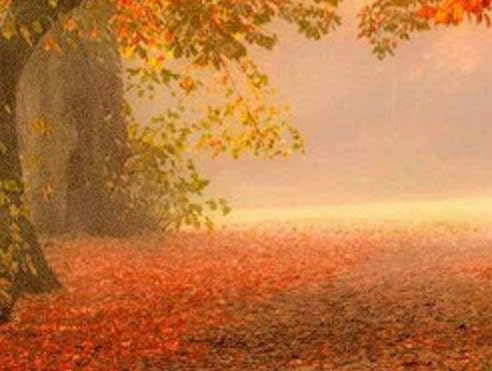 下载粉象生活要邀请码吗