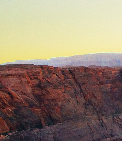 西藏粉象生活图片