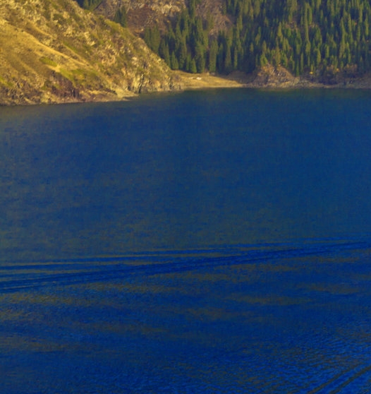 粉象生活的代理商怎么做