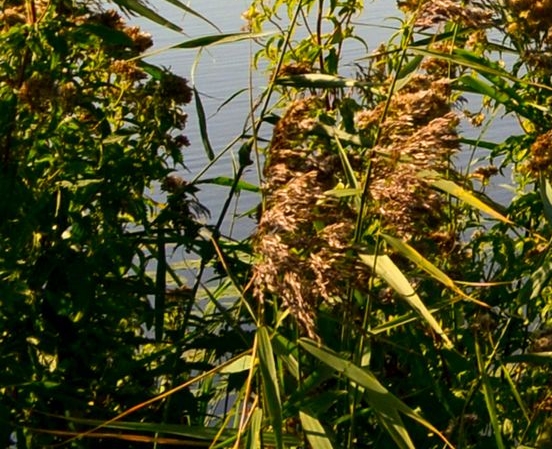 粉象生活邀请码选哪个好