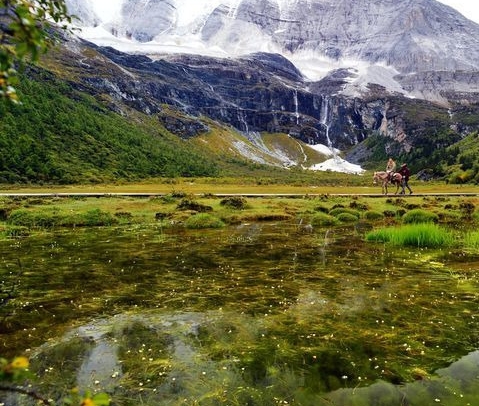 邀请明星站台活动策划