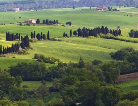 粉象生活可以赚钱吗