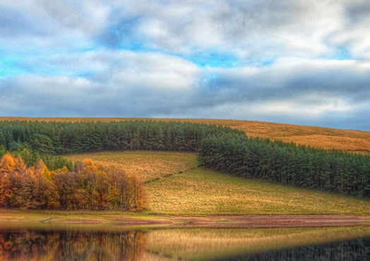 粉象生活加油怎么操作