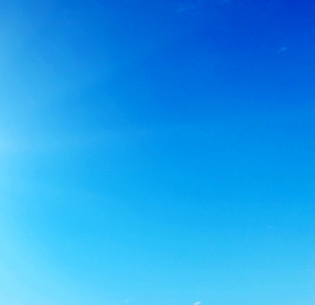 闲鱼进货平台粉象生活