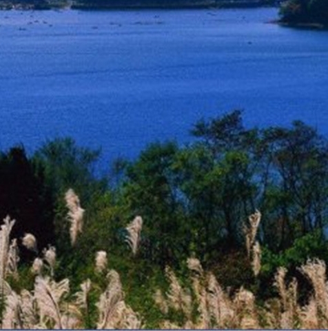 吉林高端粉象生活是什么