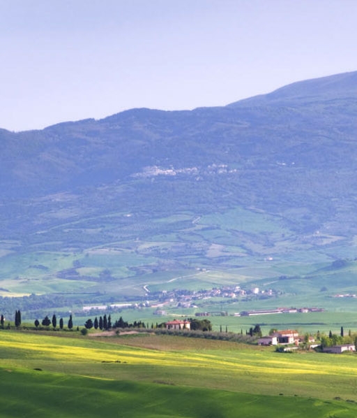 怎样推广粉象生活