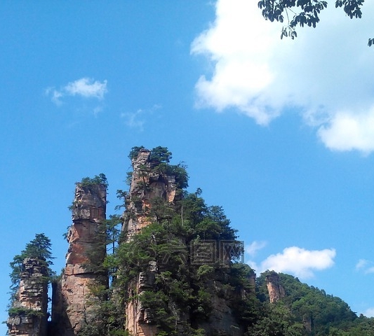 粉象生活下载官方正版