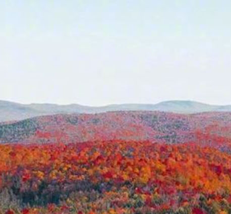 粉象生活怎么进入推广