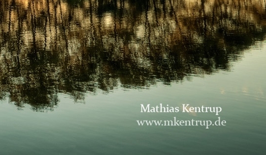 粉象生活骗局大揭秘