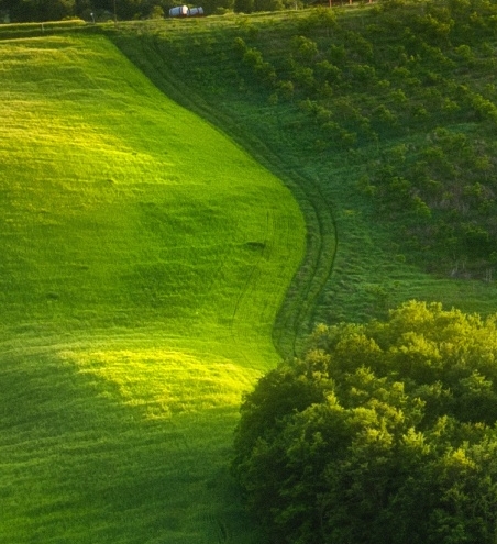 江苏创新粉象生活网站