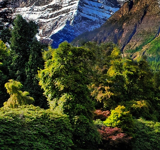 新手怎么下载粉象生活