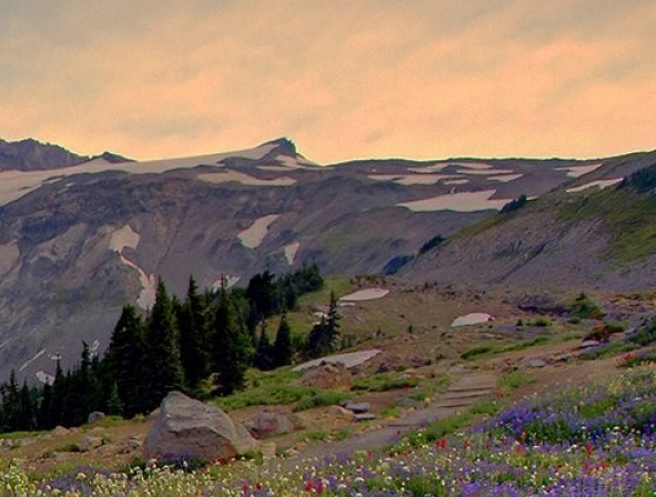 阿里妈妈粉象生活