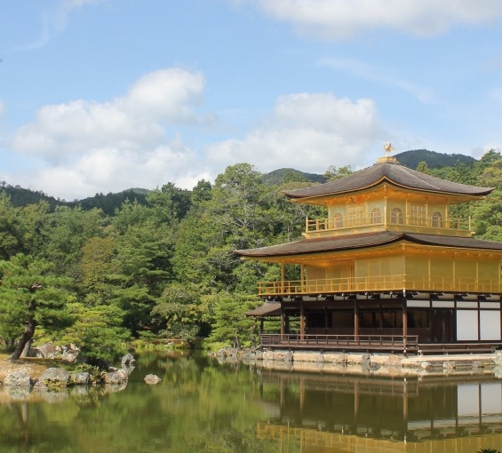 粉象生活返利网安全吗