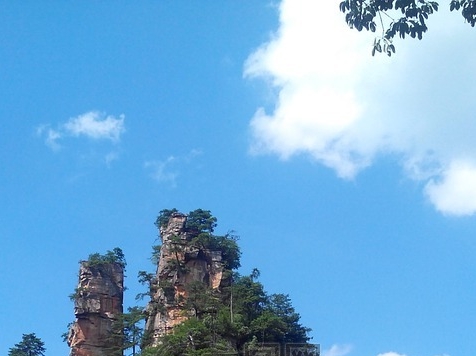 粉象生活365会员费