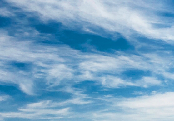 粉象生活邀请码