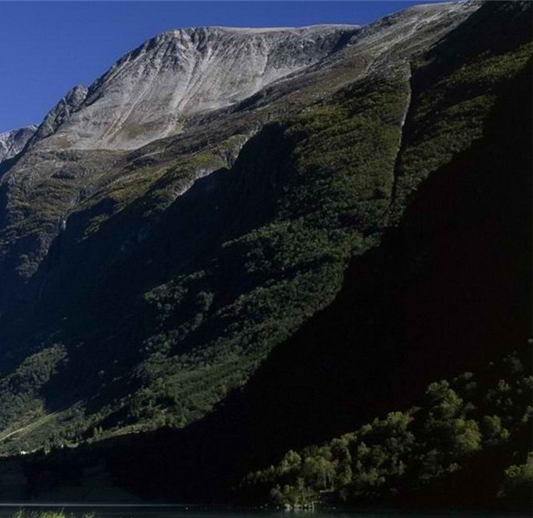 粉象生活的东西是真的假的