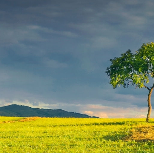 粉象生活介绍片