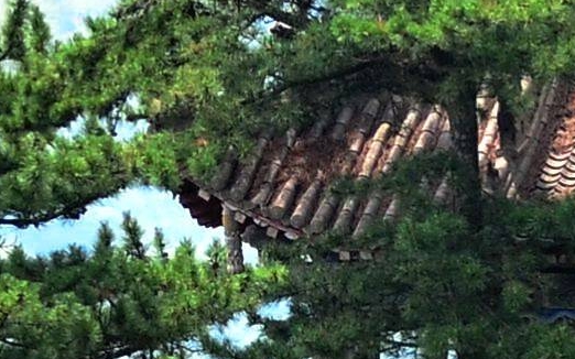 粉象生活怎么做任务