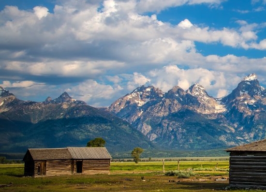 粉象生活怎么玩手机版