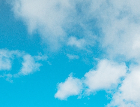 粉象生活下载app