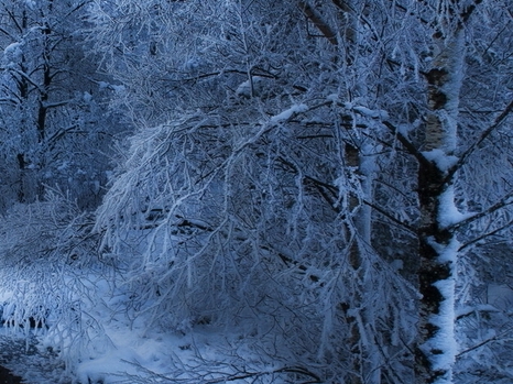 粉象生活邀请人送什么