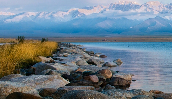 粉象生活不是vip可以得佣金吗