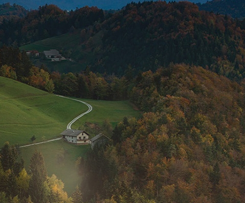 粉象生活邀请码