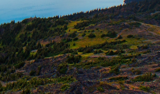 哪些明星站台粉象生活