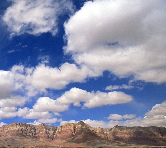 粉象生活有人推广吗