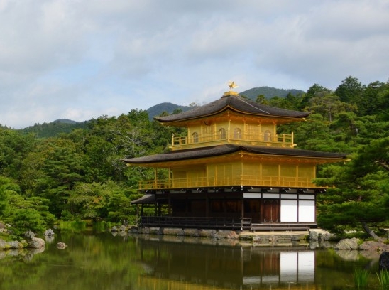 菏泽可再分散乳胶粉