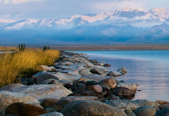 抖音粉象生活是什么